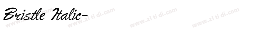 Bristle Italic字体转换 Bristle Italic字体转换